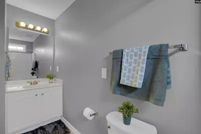 412 Mana Vista Court, Lexington, SC 29072 - Photo 46