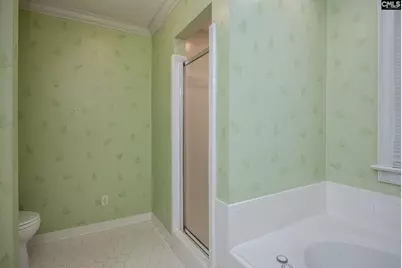 25 Hilltopper Court, Blythewood, SC 29016 - Photo 34