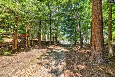 2337 Shulls Fork Road, Gilbert, SC 29054 - Photo 54