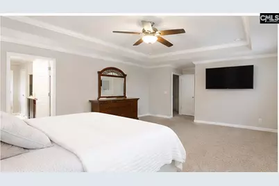 425 Maria Posada Court, Chapin, SC 29036 - Photo 14