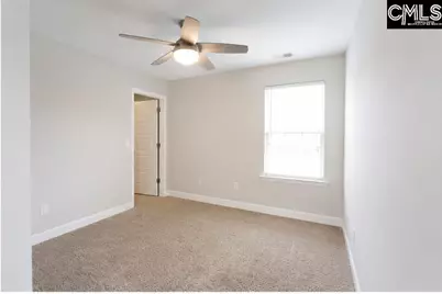 425 Maria Posada Court, Chapin, SC 29036 - Photo 20