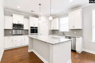 425 Maria Posada Ct, Chapin, SC 29036 - Photo 8