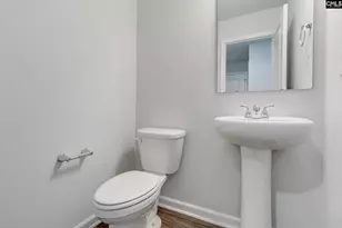 221 Kingsley Dr, Blythewood, SC 29016 - Photo 18