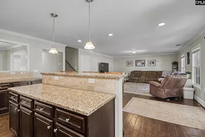 137 Palm Street, Chapin, SC 29036 - Photo 6