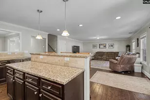 137 Palm St, Chapin, SC 29036 - Photo 6