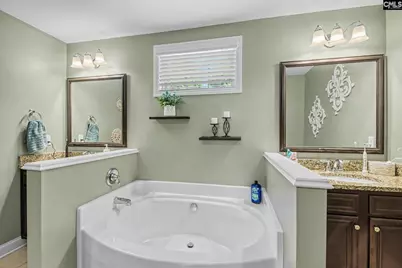 137 Palm Street, Chapin, SC 29036 - Photo 16
