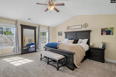 137 Palm Street, Chapin, SC 29036 - Photo 14