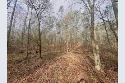 521 Mount Valley Road, Blythewood, SC 29016 - Photo 8