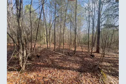 521 Mount Valley Road, Blythewood, SC 29016 - Photo 6