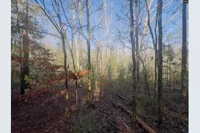 521 Mount Valley Road, Blythewood, SC 29016 - Photo 2
