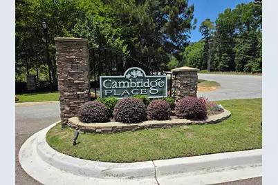 228 Chesterton Drive, Lexington, SC 29072 - Photo 44