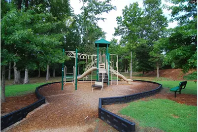 409 Crawley Lane, Chapin, SC 29036 - Photo 58