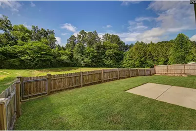 409 Crawley Lane, Chapin, SC 29036 - Photo 54
