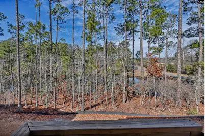 204 Sapphire Gem Lane, Elgin, SC 29045 - Photo 44