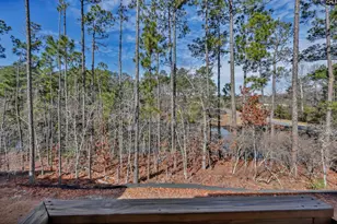204 Sapphire Gem Ln, Elgin, SC 29045 - Photo 44
