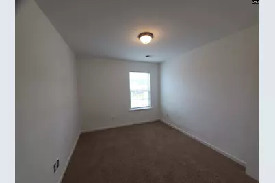 9 Texas Black Way, Elgin, SC 29045 - Photo 12