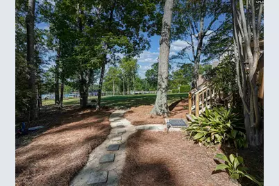 135 Willowood Cove, Chapin, SC 29036 - Photo 10