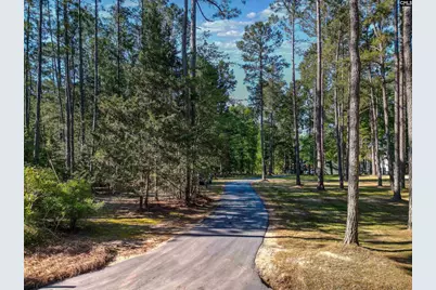 135 Willowood Cove, Chapin, SC 29036 - Photo 2
