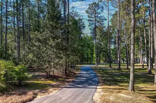 135 Willowood Cove, Chapin, SC 29036 - Photo 2
