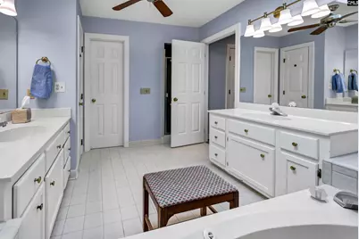 135 Willowood Cove, Chapin, SC 29036 - Photo 46
