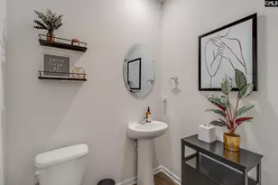 702 Autumn Shiloh Dr, Chapin, SC 29036 - Photo 22
