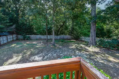 158 Caedmons Creek Drive, Irmo, SC 29063 - Photo 46