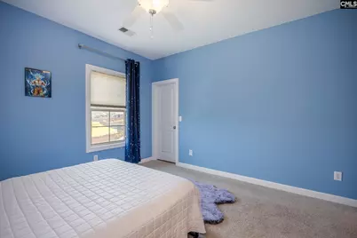 316 Asa Rose Lane, Lexington, SC 29072 - Photo 46
