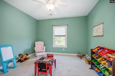 316 Asa Rose Lane, Lexington, SC 29072 - Photo 50