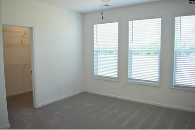 328 Conductor Lane, Irmo, SC 29063 - Photo 16