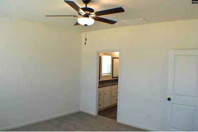 328 Conductor Lane, Irmo, SC 29063 - Photo 18
