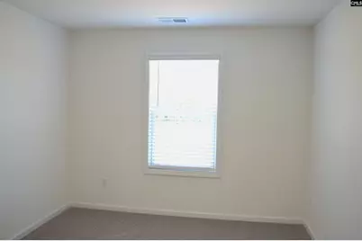 328 Conductor Lane, Irmo, SC 29063 - Photo 30