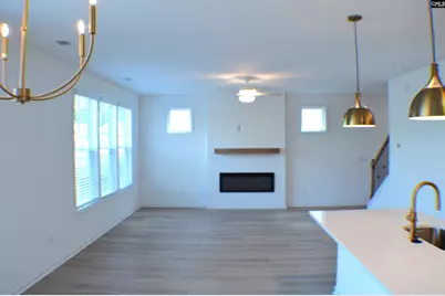 320 Conductor Lane, Irmo, SC 29063 - Photo 18