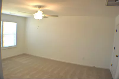 320 Conductor Lane, Irmo, SC 29063 - Photo 20
