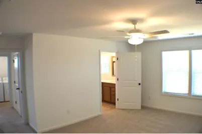 320 Conductor Lane, Irmo, SC 29063 - Photo 24