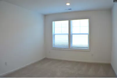 320 Conductor Lane, Irmo, SC 29063 - Photo 28