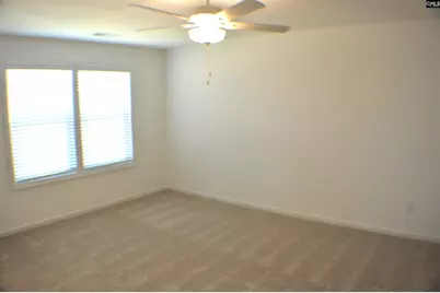 320 Conductor Lane, Irmo, SC 29063 - Photo 22
