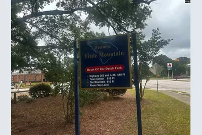 0 Hwy 202 Highway, Little Mountain, SC 29075 - Photo 2