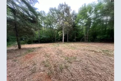 0 Hwy 202 Highway, Little Mountain, SC 29075 - Photo 8