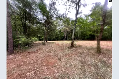 0 Hwy 202 Highway, Little Mountain, SC 29075 - Photo 4