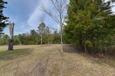 315 Gardners Terrace, West Columbia, SC 29172 - Photo 42