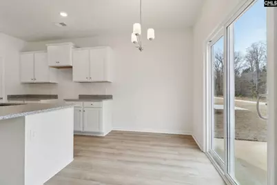 153 Dew Blossom Drive, Lexington, SC 29073 - Photo 10
