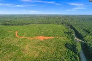 0000 Hwy 215 2, Jenkinsville, SC 29065 - Photo 1