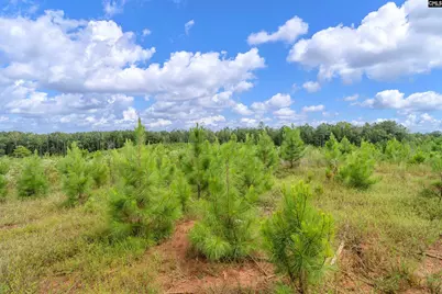 0000 Hwy 215 2 #2, Jenkinsville, SC 29065 - Photo 10
