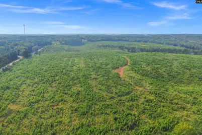 0000 Hwy 215 2 #2, Jenkinsville, SC 29065 - Photo 16