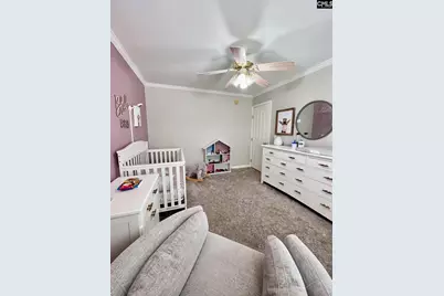 1043 Eau Claire Drive, Chapin, SC 29036 - Photo 18