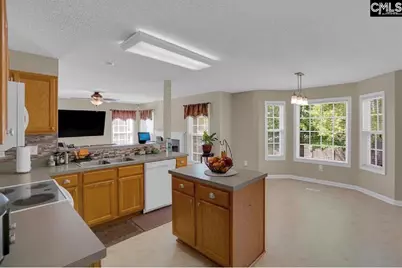 203 Hope Creek Drive, Irmo, SC 29063 - Photo 10