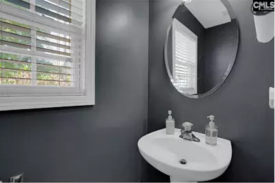 203 Hope Creek Drive, Irmo, SC 29063 - Photo 16