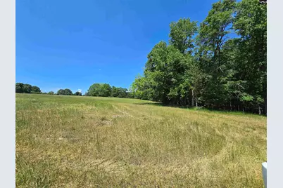 542 Pea Ridge Highway, Jonesville, SC 29353 - Photo 6