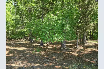 542 Pea Ridge Highway, Jonesville, SC 29353 - Photo 36