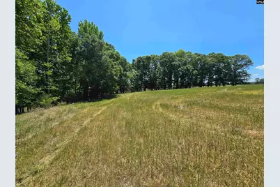 542 Pea Ridge Highway, Jonesville, SC 29353 - Photo 34